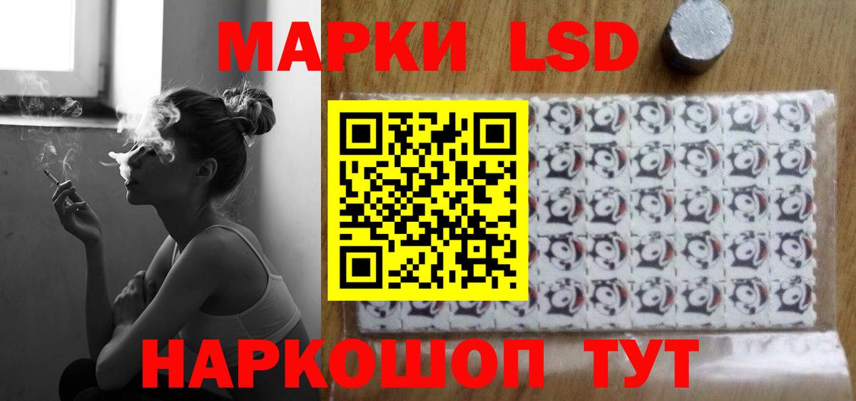 МЕФ Советск