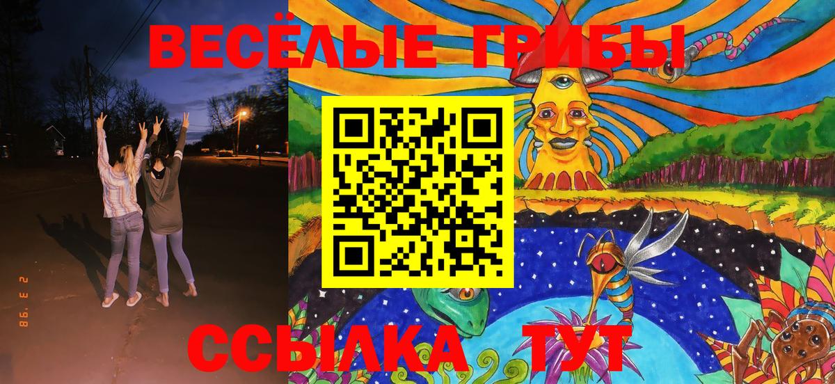 Псилоцибиновые грибы мухоморы Советск