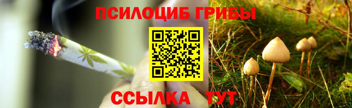 Галлюциногенные грибы ЛСД  Вход с VPN  Советск  Галлюциногенные грибы Magic Shrooms 